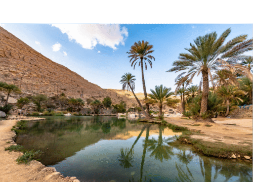 Best Time to Visit Morocco: Your Complete 2025 Travel Guide