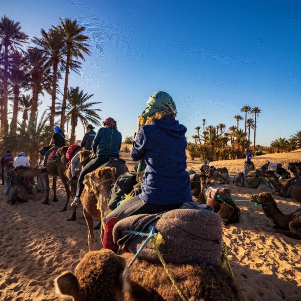 5 Days Private Tour from Marrakech to Merzouga