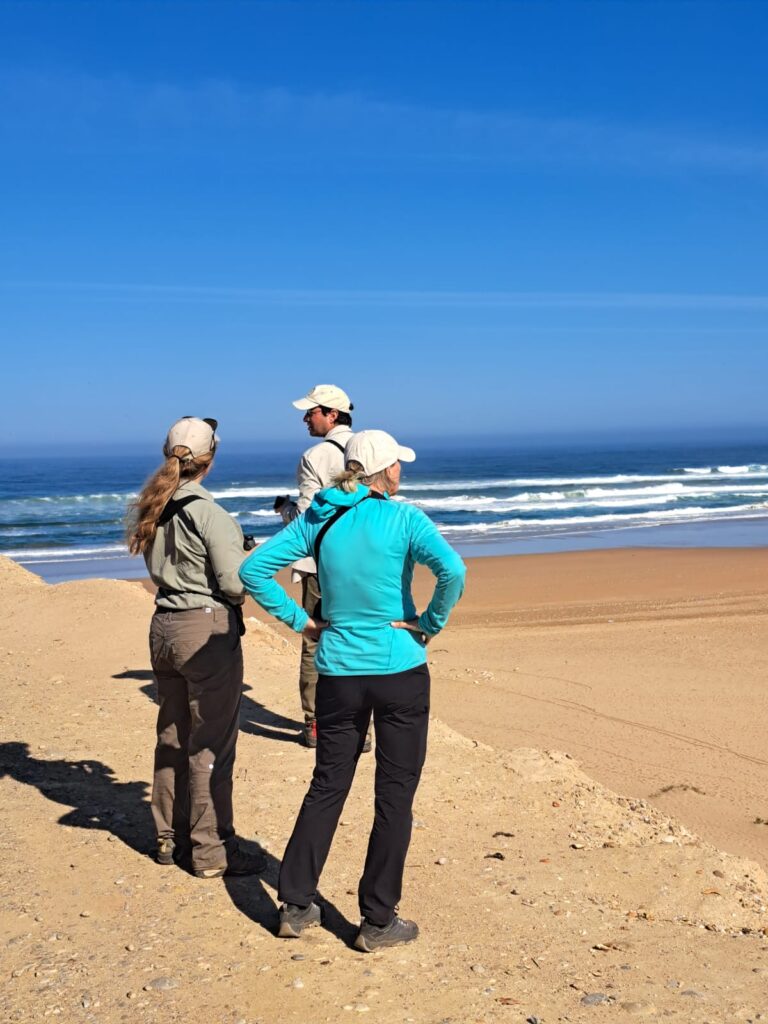 Best Time to Visit Morocco: Your Complete 2025 Travel Guide 2 Best time to visit Morocco seasonal landscapes