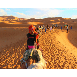 Sahara Desert tours from Ouarzazate camel trekking