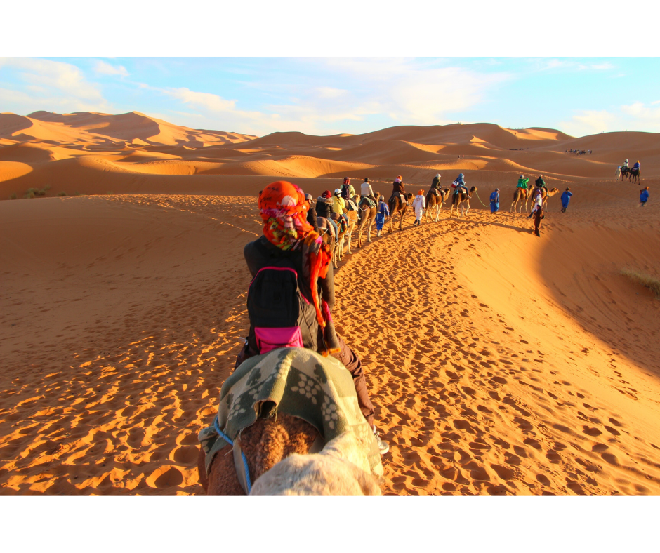 Ouarzazate Guide: Ultimate Hollywood of Morocco & Desert Gateway - 15 Must-See Attractions & Hidden Gems 6 Sahara Desert tours from Ouarzazate camel trekking