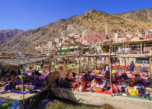 Ourika Valley, Waterfall & Lunch