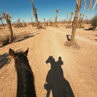 Marrakech Desert and Palmeraie Horse Riding Tour | Atlas Mountain Views & Berber Villages