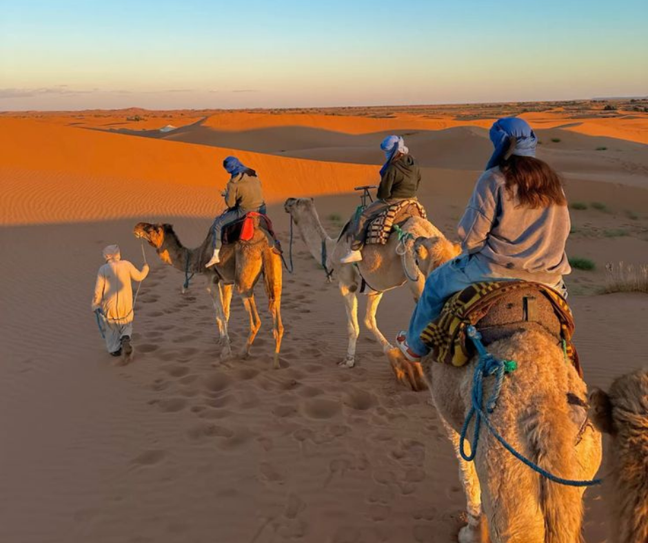 Tour económico desierto Marruecos mostrando caravana de camellos en dunas del Sáhara
